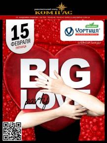 Фото Big Love Party Харьков